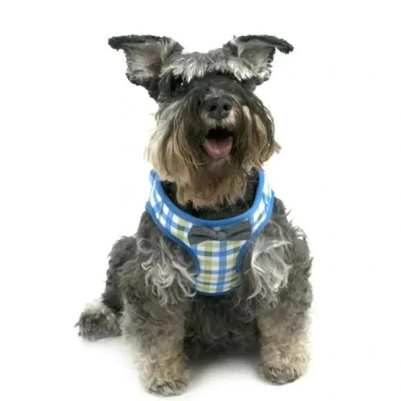 Vibrant Other - VIBRANT LIFE HARNESS XS 11.5-14 IN .